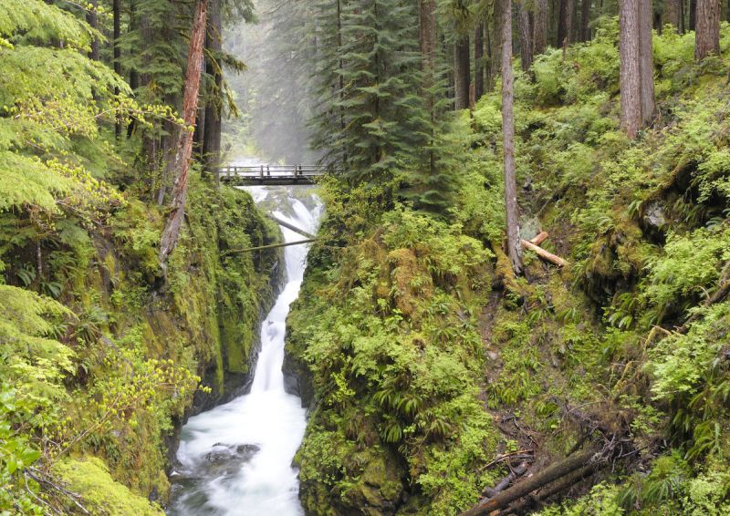 Best Day Hikes In Olympic National Park