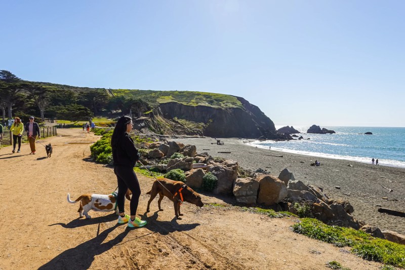 Best Dog Friendly Backpacking Trips