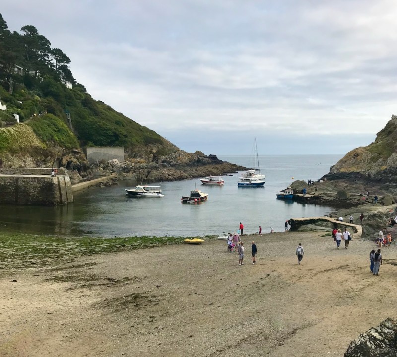 Best Dog Friendly Beaches Near Looe