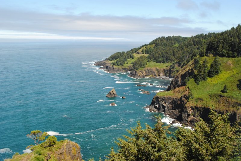 Best Dog Friendly Beaches Oregon Coast