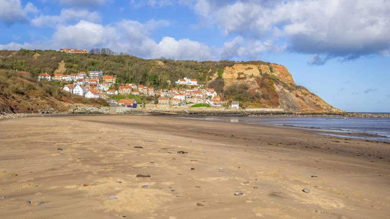 Best Dog Friendly Beaches Yorkshire