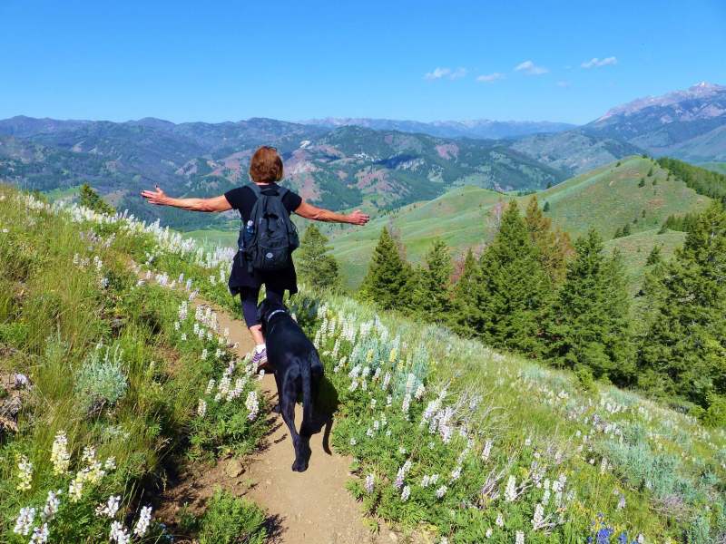 Best Dog Friendly Hikes In Colorado