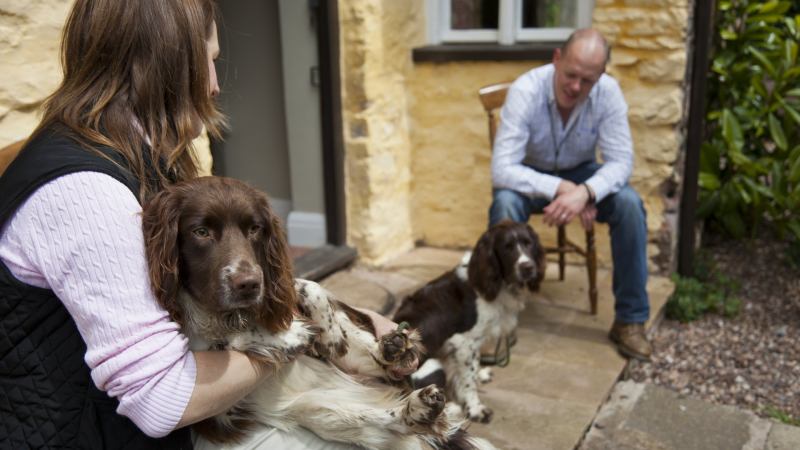 Best Dog Friendly Holiday In Uk