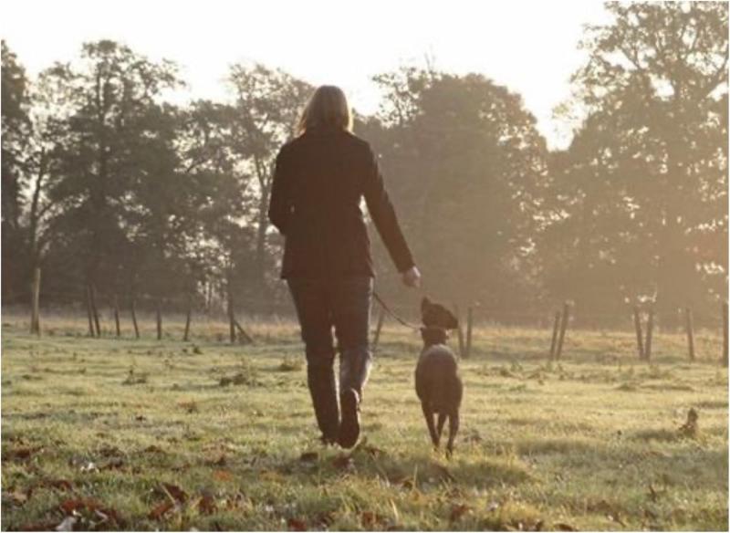 Best Dog Friendly Places Yorkshire