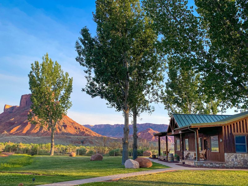 Best Dog Friendly Resorts In Colorado