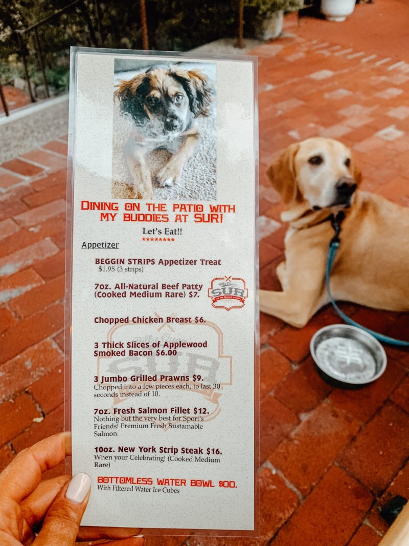 Best Dog Friendly Restaurants Near Me With Outdoor Seating