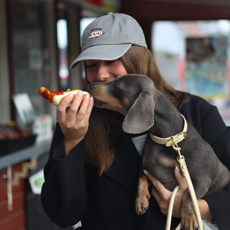 Best Dog Friendly Restaurants