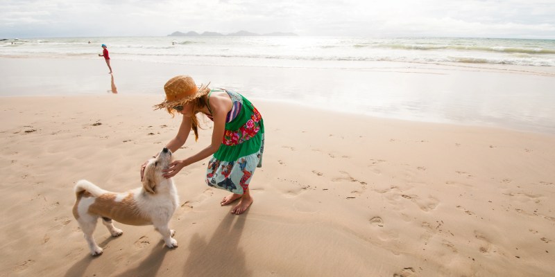 Best Dog-friendly Vacations Near Me