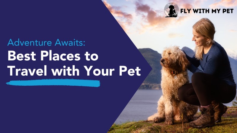 Best Dog Friendly Weekend Getaways Near Me