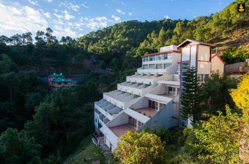 Best Pet Friendly Resorts In Kasauli