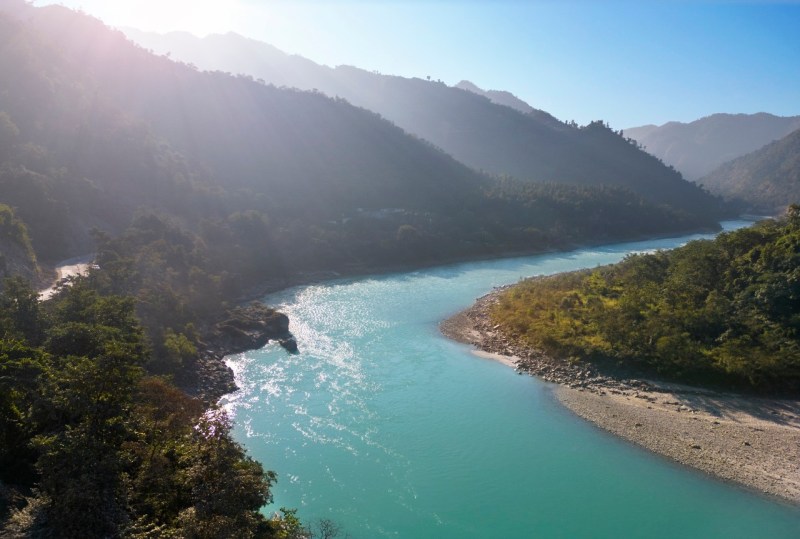 Best Pet Friendly Resorts In Rishikesh