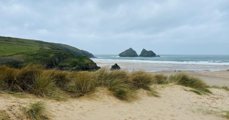 Dog Friendly Beaches East Coast Uk