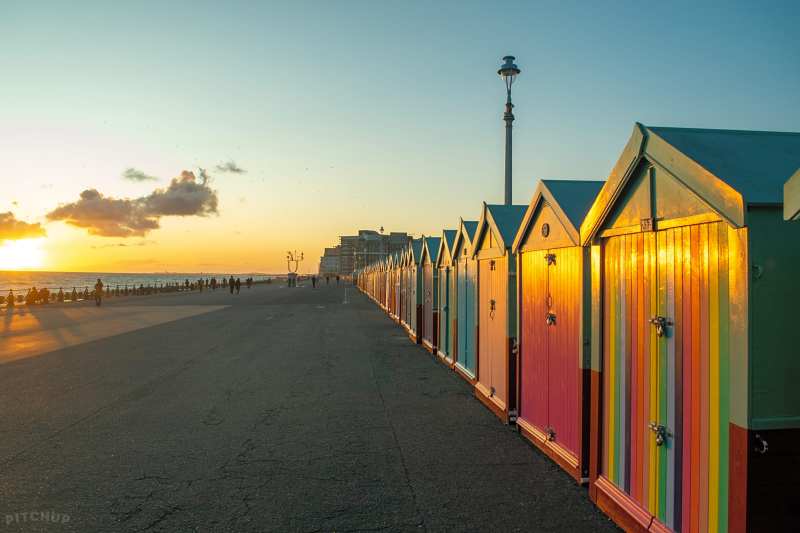 Dog Friendly Beaches East Sussex