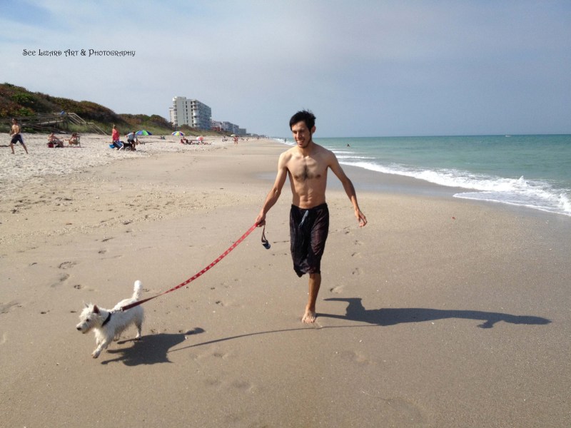 Dog Friendly Beaches On East Coast Of Florida