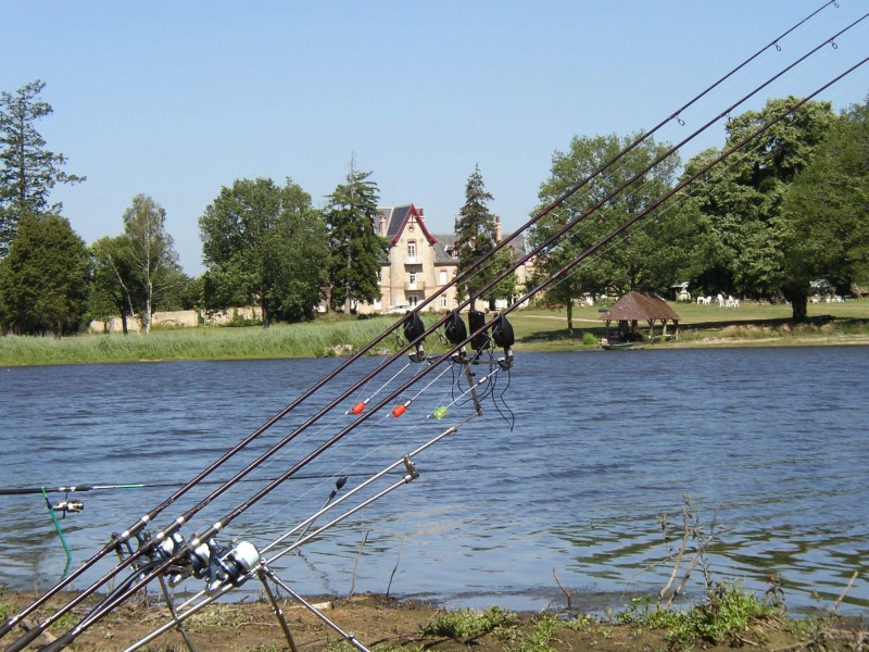 Dog Friendly Fishing Holidays