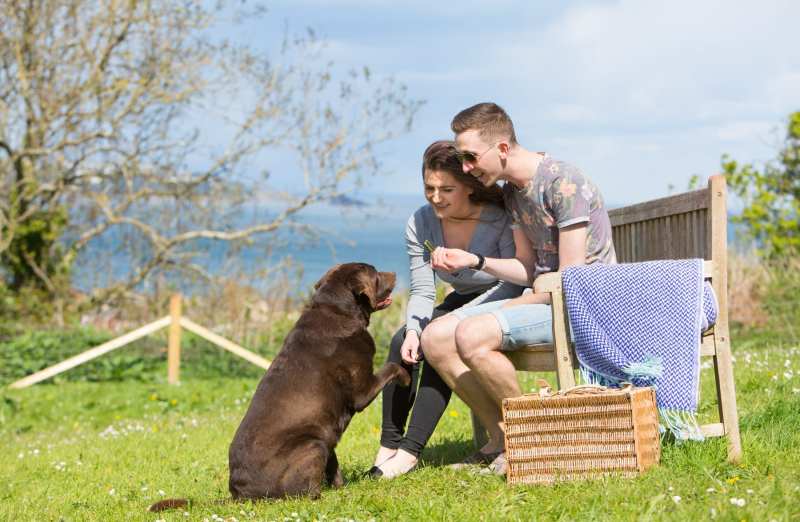 Dog Friendly Holidays Devon And Dorset