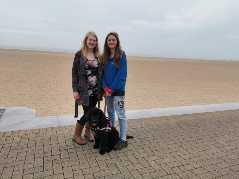 Dog Friendly Holidays Great Yarmouth