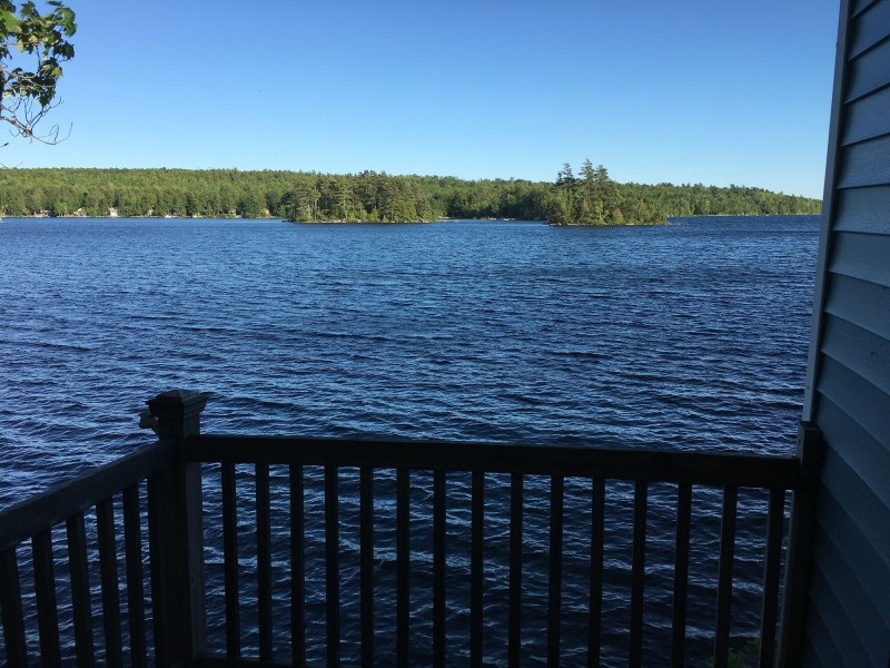 Dog Friendly Lodging Near Ellsworth Me