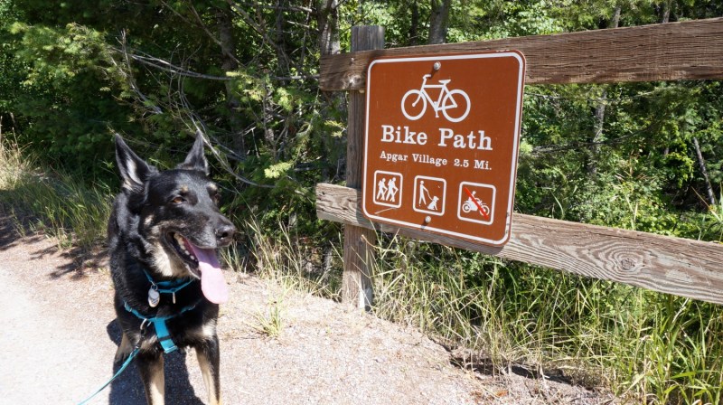 Dog Friendly Lodging Near Glacier National Park