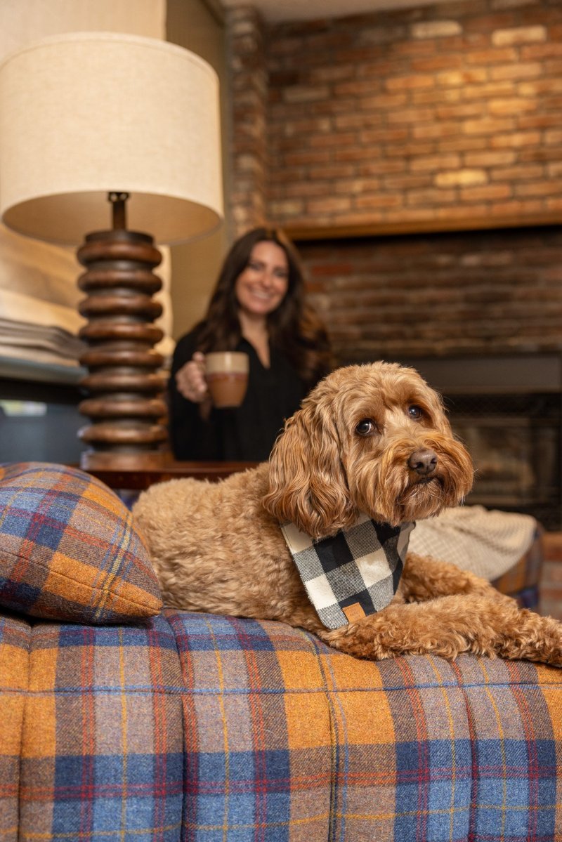 Dog Friendly Lodging Vermont