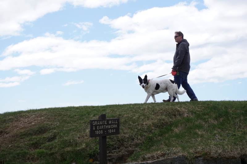 Dog Friendly Motel Near Kittery Me