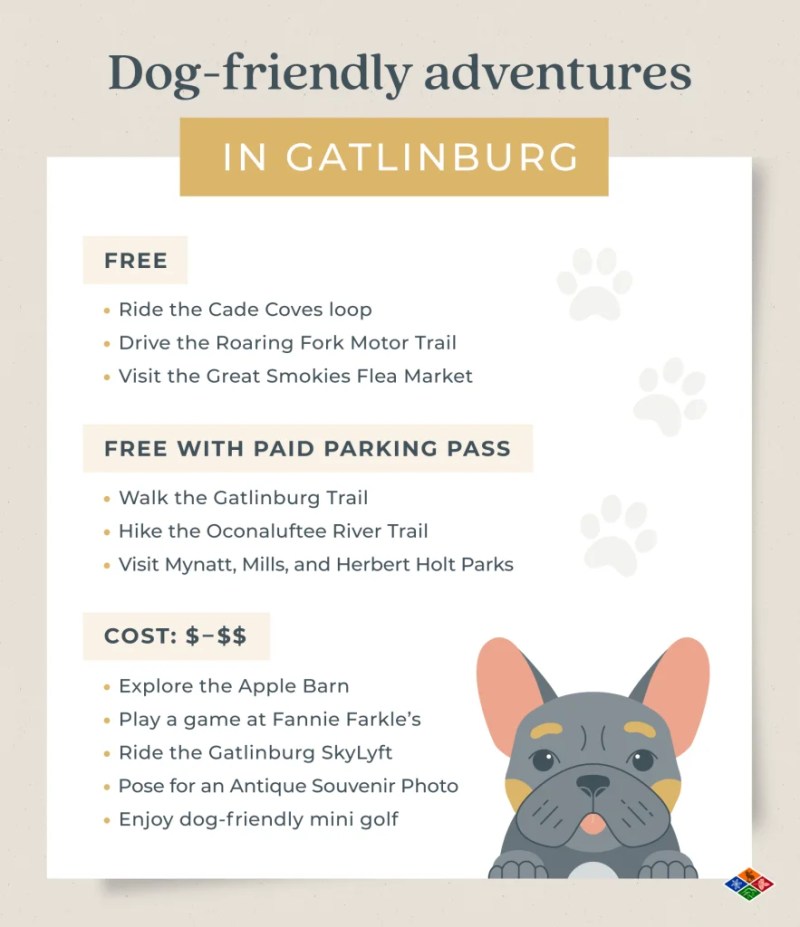 Dog Friendly Places Near Me To Walk