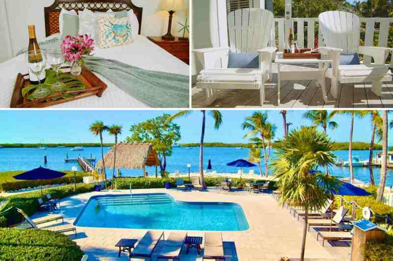 Dog Friendly Resorts Key Largo