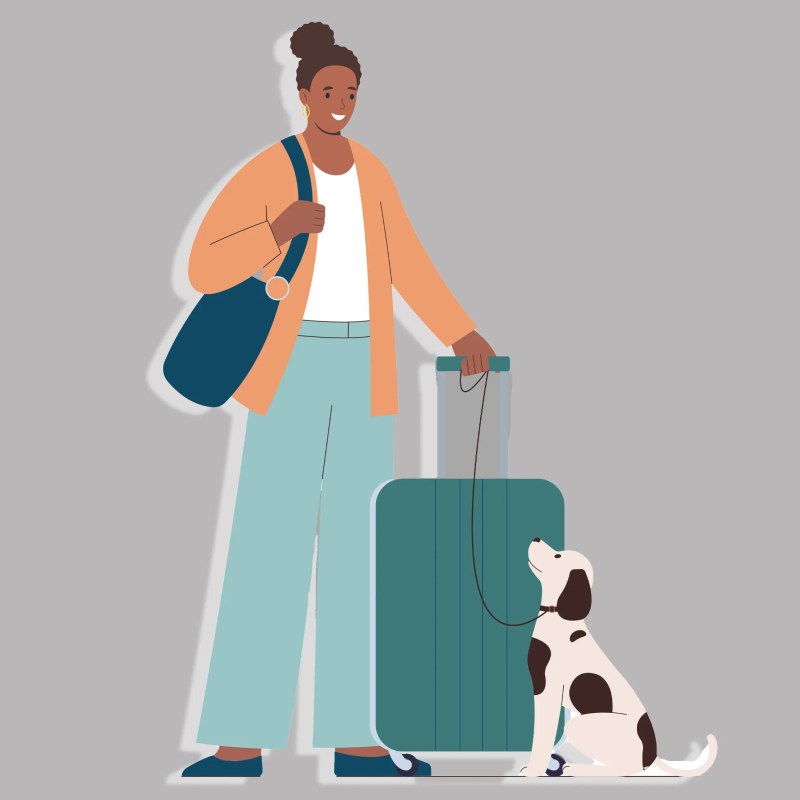 Dog Friendly Vacations In The Us