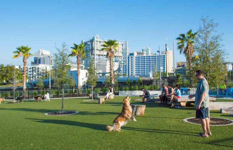 Dog Friendly Vacations In Us