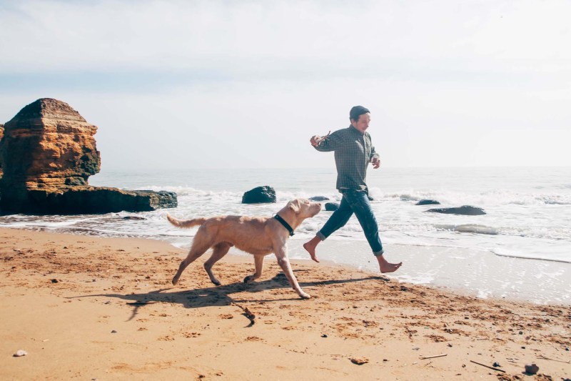 Dog Friendly Vacations New Jersey