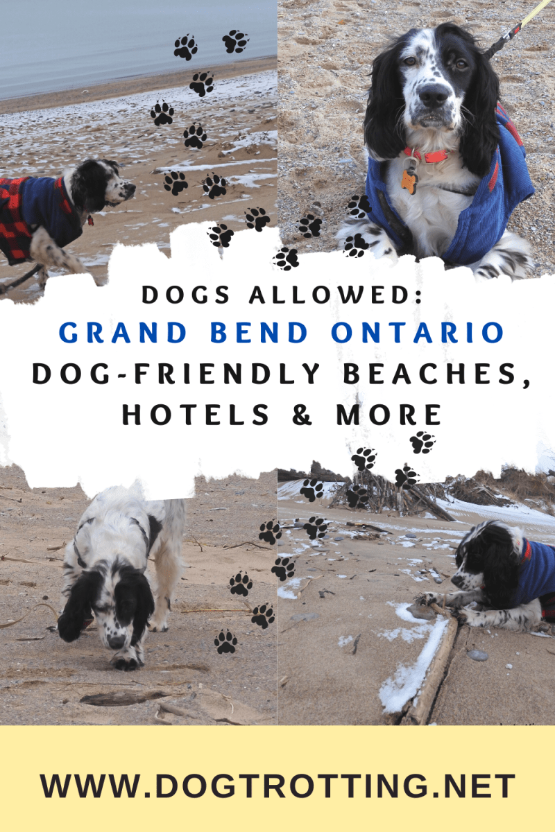 Dog Friendly Vacations Ontario