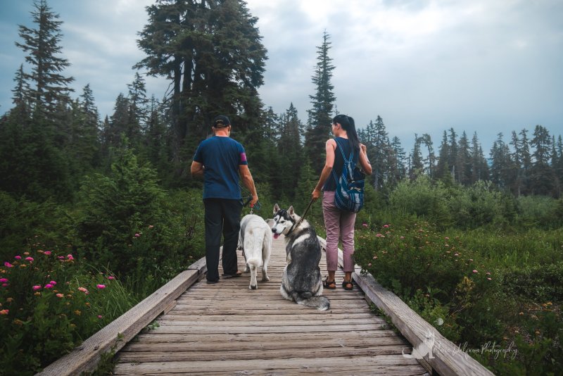 Hiking Vacations With Dogs