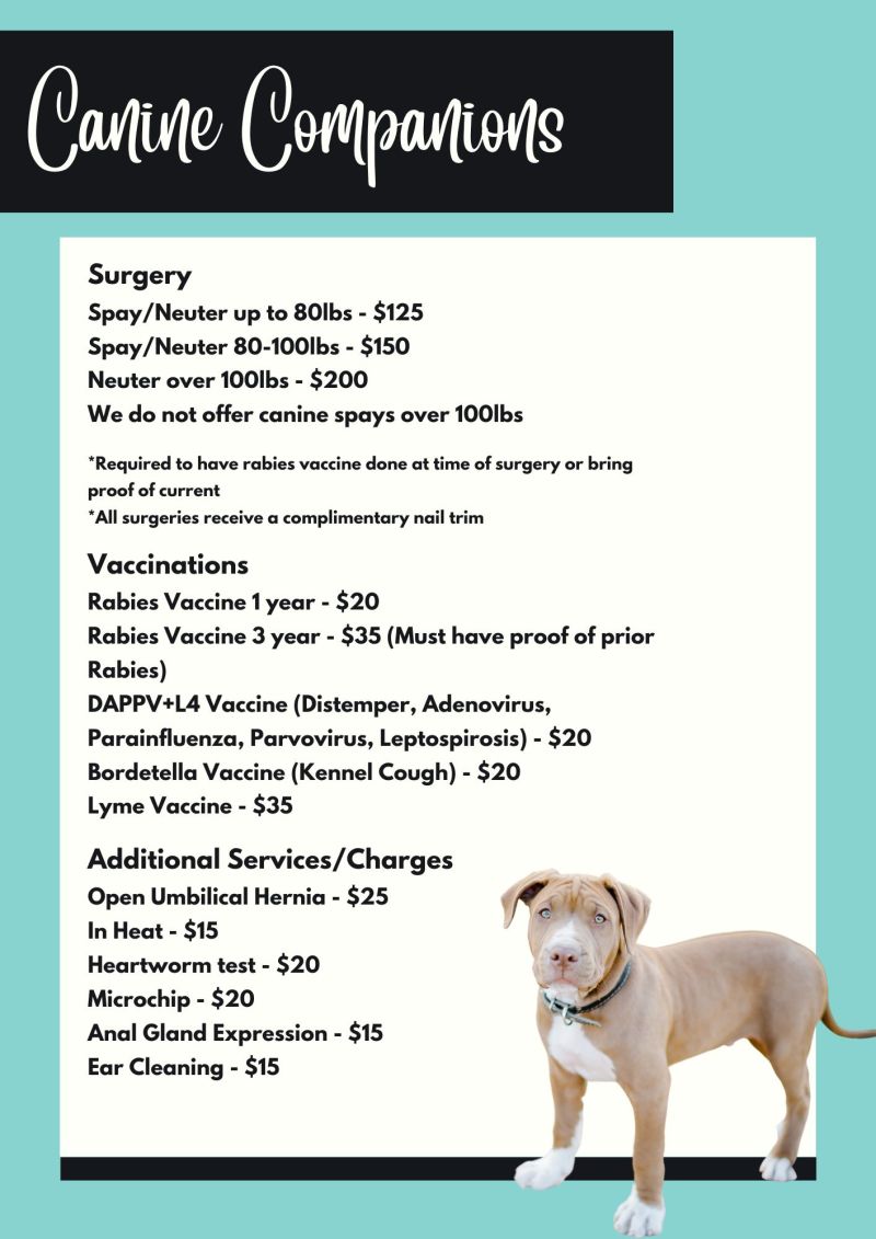 How Much Will It Cost To Get My Dog Spayed