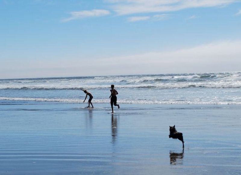 Pet Friendly Beach Vacations Near Me