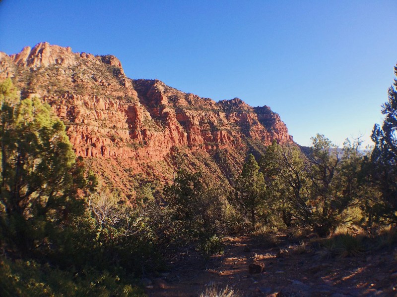 Pet Friendly Lodging Zion Ut