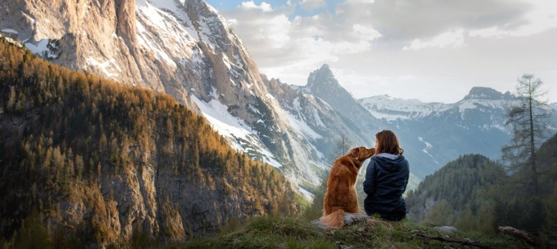 The Best Dog Friendly Vacations