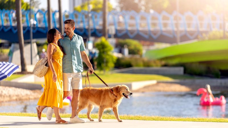 Vacation Dog Leash Scene