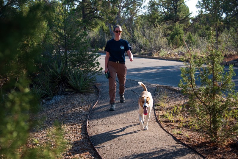 Vacations With Dogs Near Me