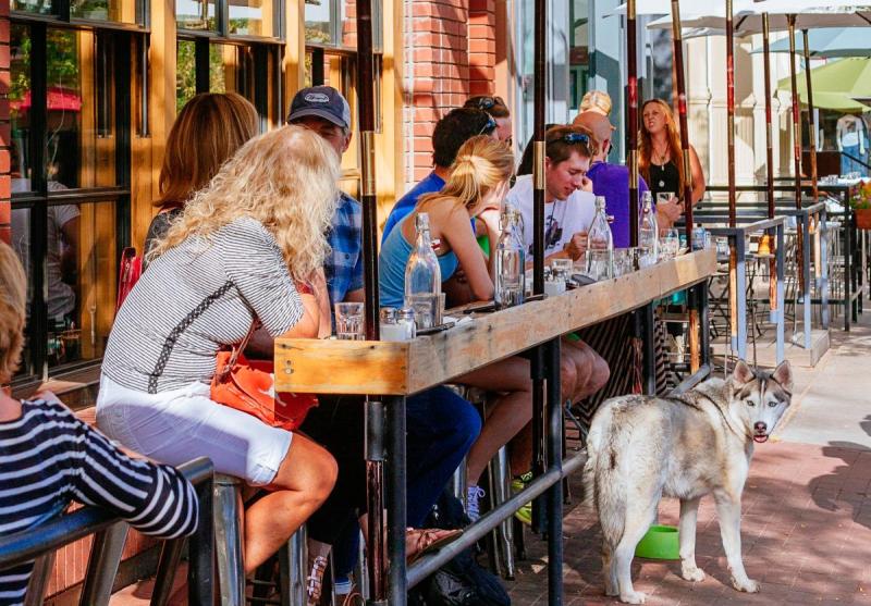 Best Dog Friendly Bars Denver