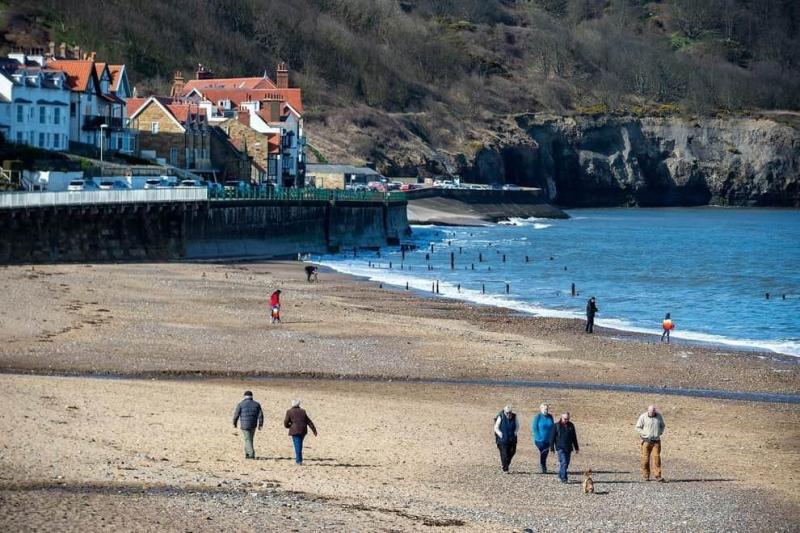 Best Dog Friendly Fish And Chips Whitby