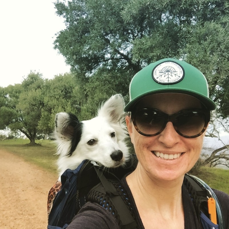 Best Dog Friendly Hikes Bay Area