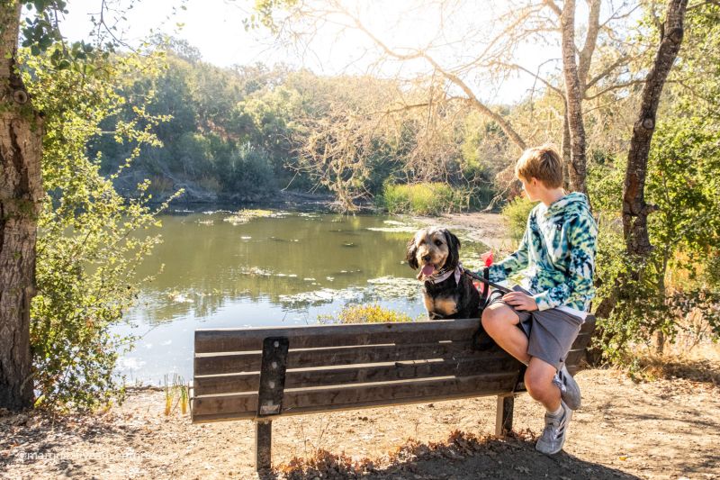 Best Dog Friendly Hikes Near Me