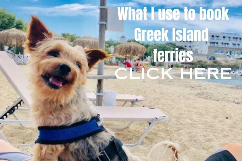 Best Dog Friendly Holidays Abroad