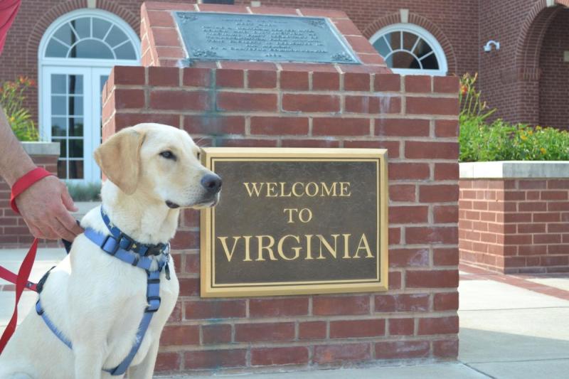 Best Dog Friendly Hotels East Coast