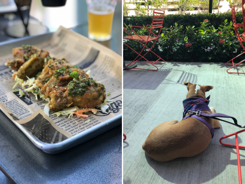 Best Dog Friendly Restaurants Dc