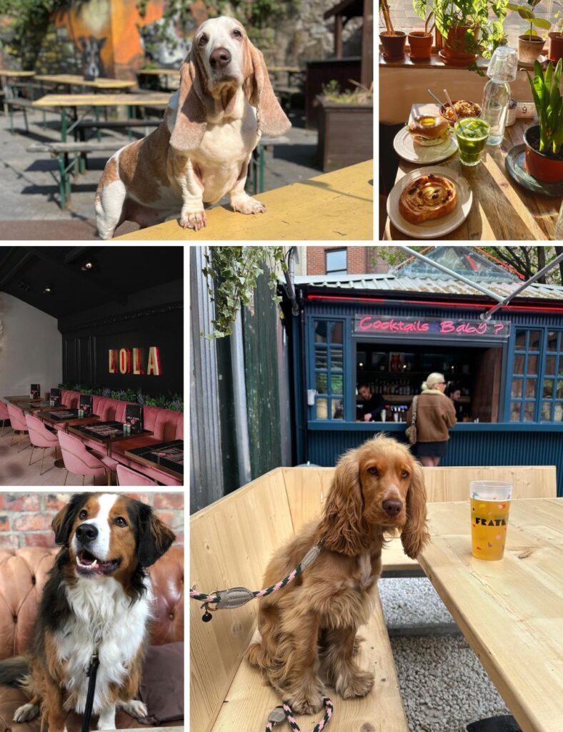 Best Dog Friendly Restaurants Nyc