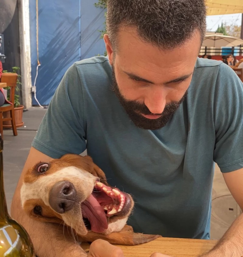 Best Dog Friendly Restaurants Oakland