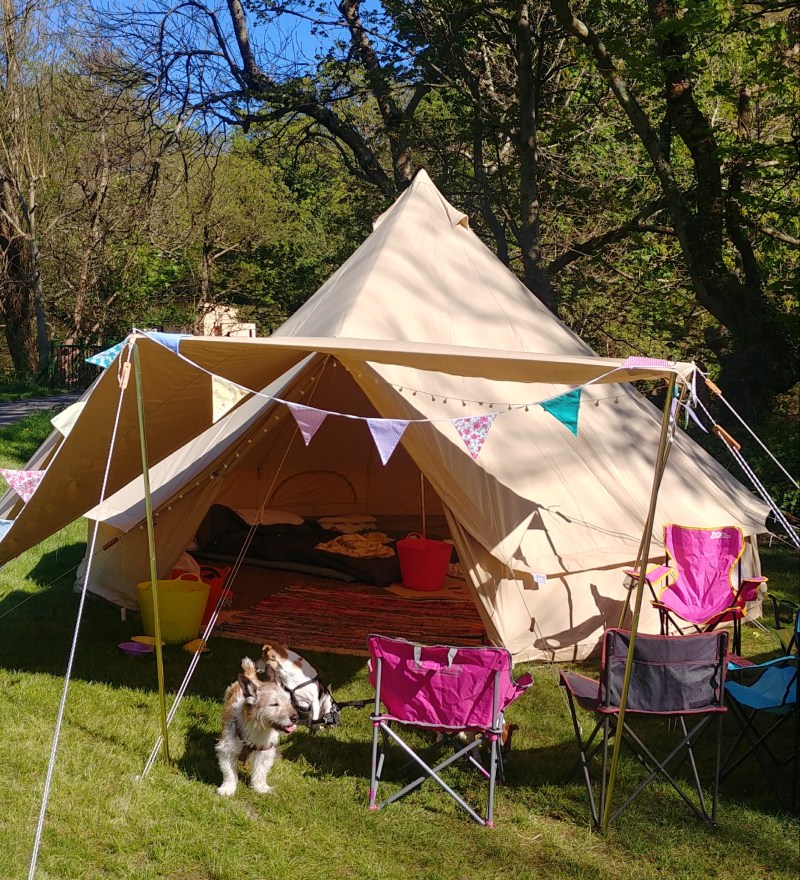 Best Dog-friendly Tents