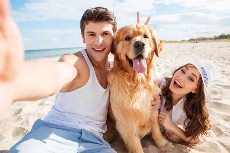 Best Dog Friendly Vacations East Coast