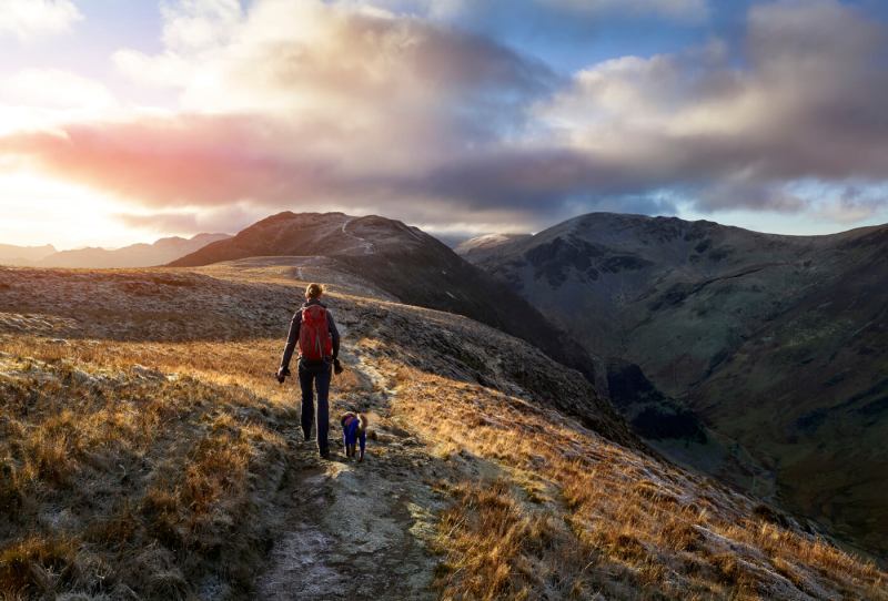 Best Dog Friendly Walks Lake District